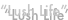 shapeimage_2_link_17